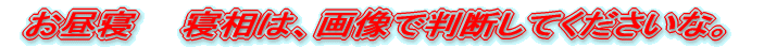 QOOWNPPP ̍`bsςĂlɌB 傫́APV`PWCM?