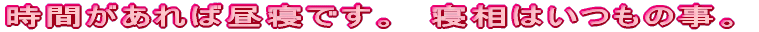 AWAAiŎgpu̎ނɂ́A 㕔uAuʓIłˁB