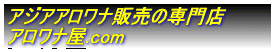 AWAAi̔̐X@Ai.com