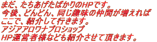܂A΂HPłB AǂǂA̒Ԃ ŁAЉčs܂B