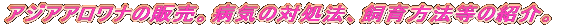 ̃AiwBX́AAWAAiMB