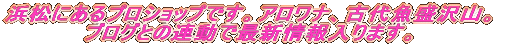 ̃AiwBX́AAWAAiMB